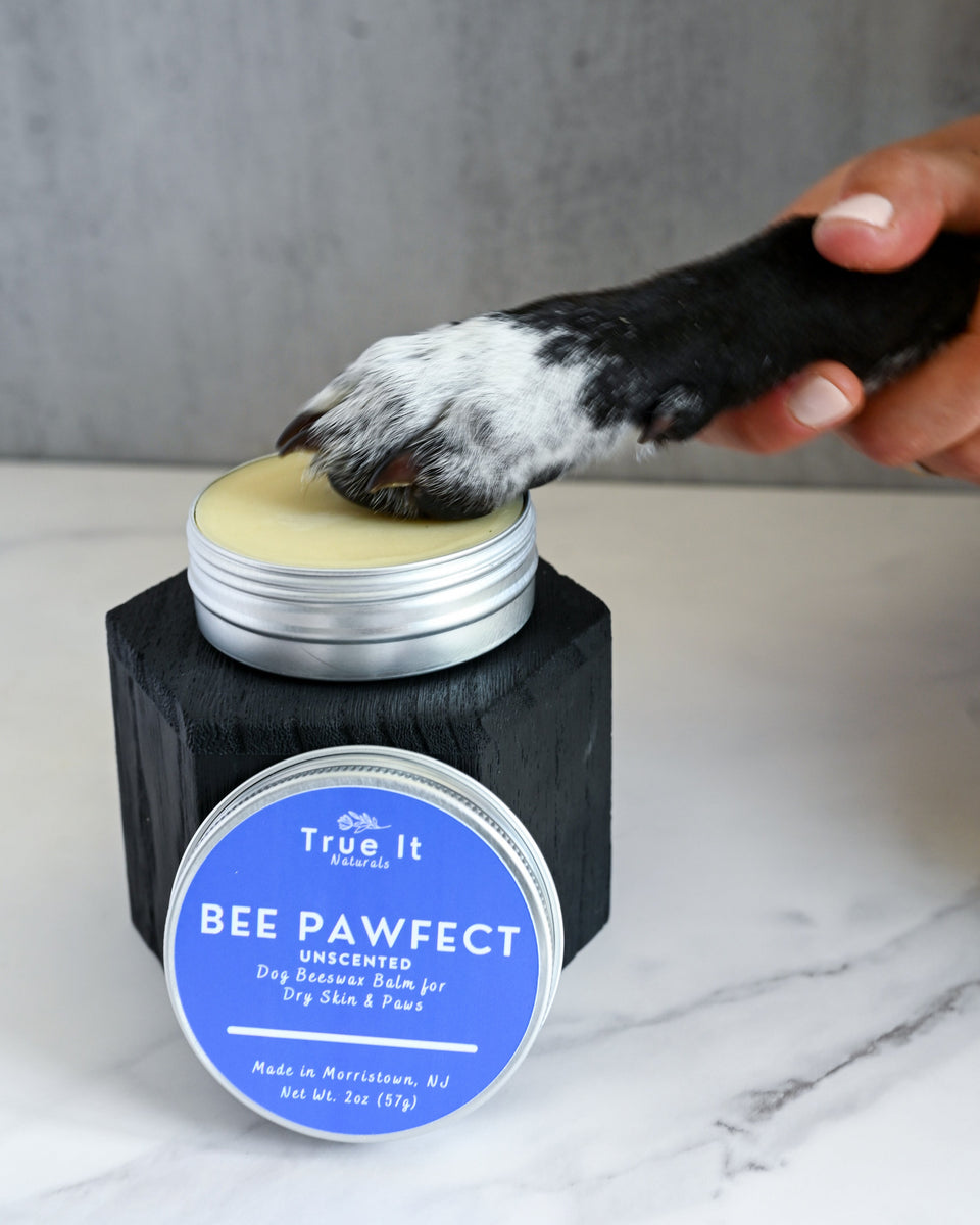 Dog Balm - BEE PAWFECT | Paws & Nose Salve – True It Naturals