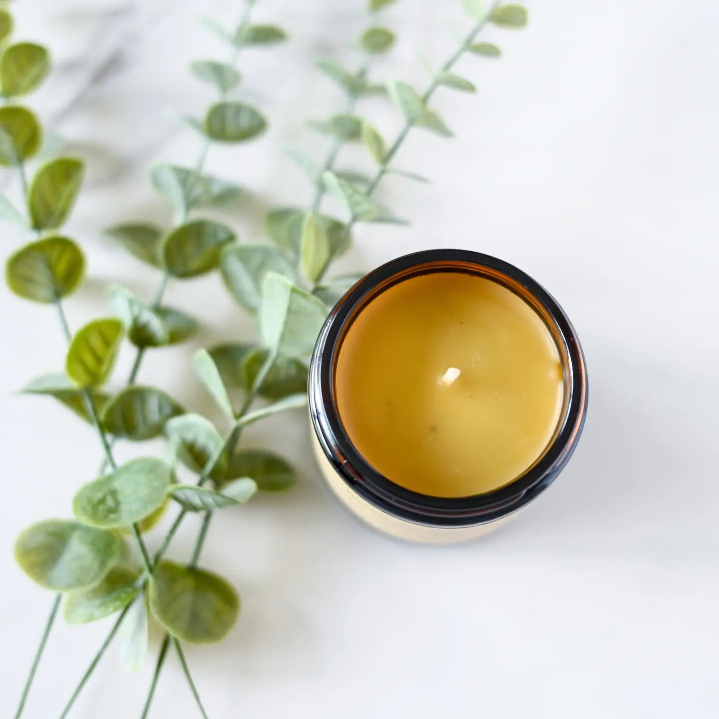Jar of True It Naturals beeswax candle next to sage leaves on a white background
